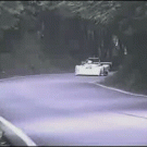 Deer gets hit by race car